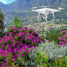 cape nature fynbos mapping